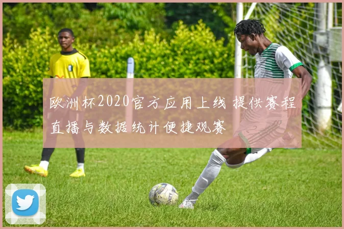 欧洲杯2020官方应用上线 提供赛程直播与数据统计便捷观赛