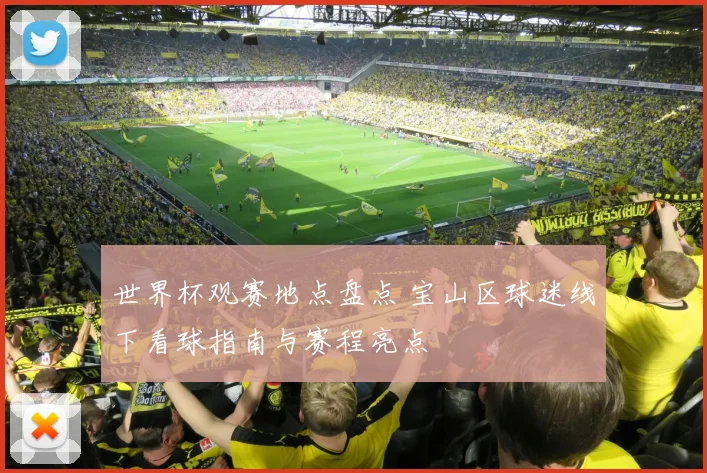 世界杯观赛地点盘点 宝山区球迷线下看球指南与赛程亮点