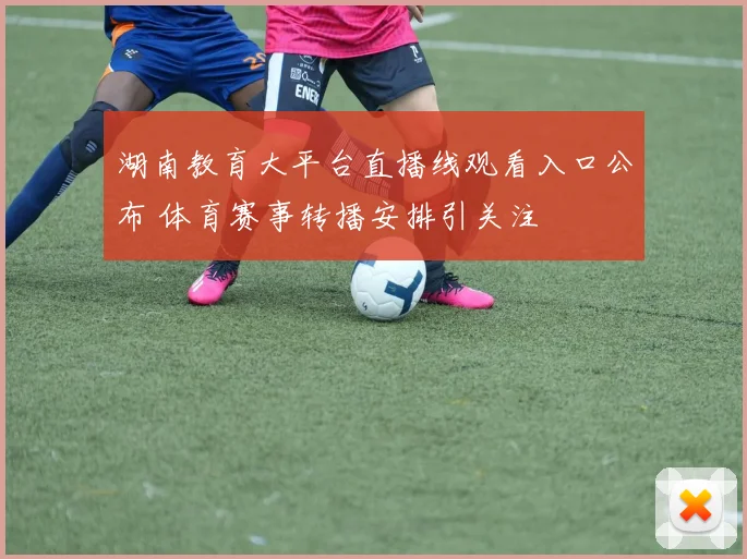 湖南教育大平台直播线观看入口公布 体育赛事转播安排引关注