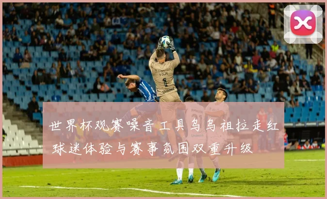 世界杯观赛噪音工具乌乌祖拉走红 球迷体验与赛事氛围双重升级