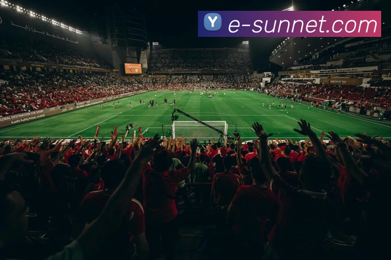 开云app平台入口平台生态图