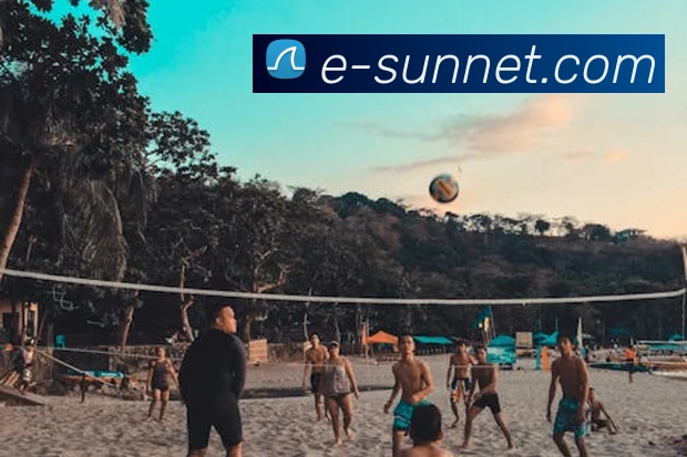 开云app平台入口APP 封面图